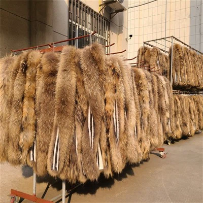 Εργοστάσιο Τιμή Γούνα Κόψιμο/Real Racoon Γούνα Φυσικό Ρακούν Μεγάλο Γούνα Κολάρο
