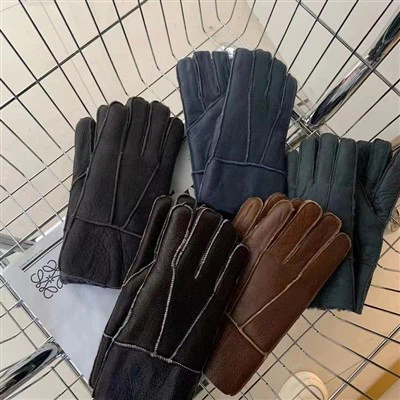 Αντιανεμικά γάντια βιζόν